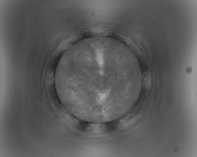 X0000092210713200709281023