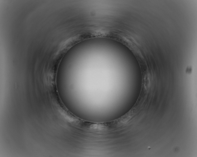 X0000092210714200709281023