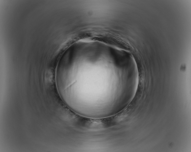 X0000092210715200709281023