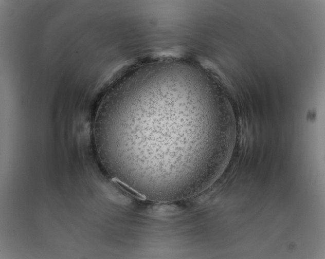 X0000092210716200709281023