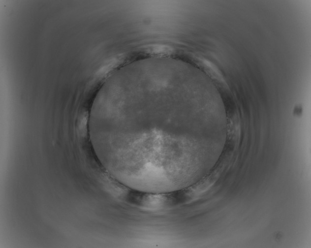 X0000092210717200709281023