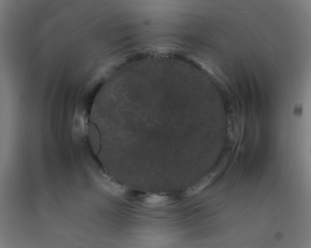 X0000092210718200709281023