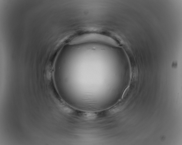 X0000092210719200709281023