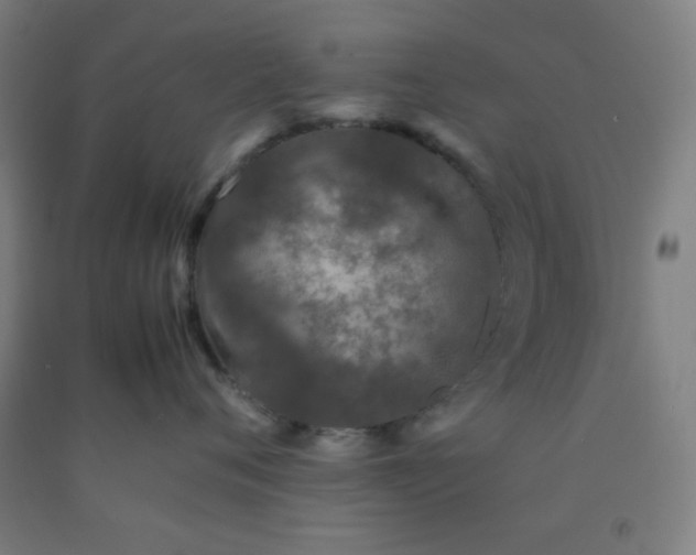 X0000092210720200709281023