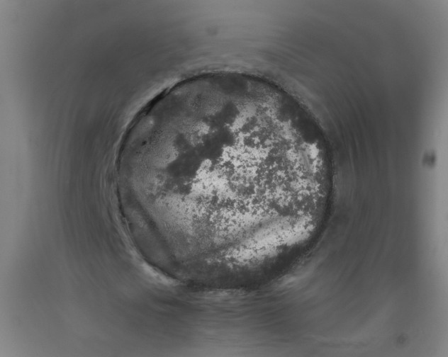 X0000092210721200709281022