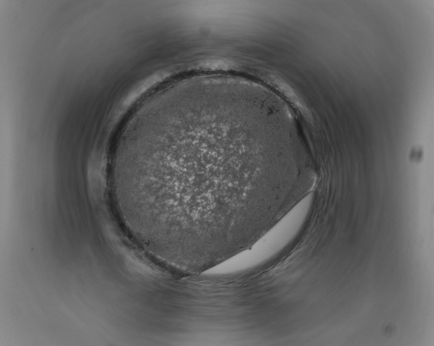 X0000092210722200709281022