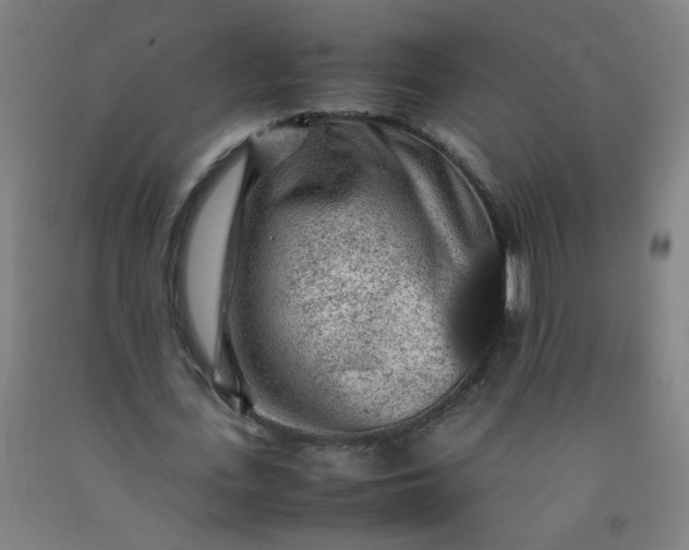 X0000092210723200709281022