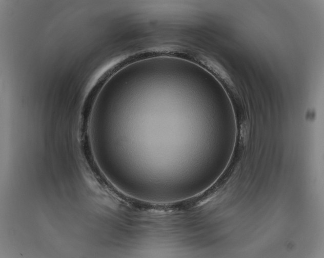 X0000092210724200709281022