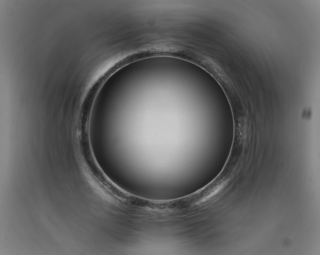 X0000092210726200709281022