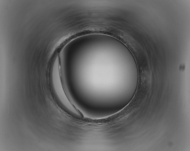 X0000092210727200709281022