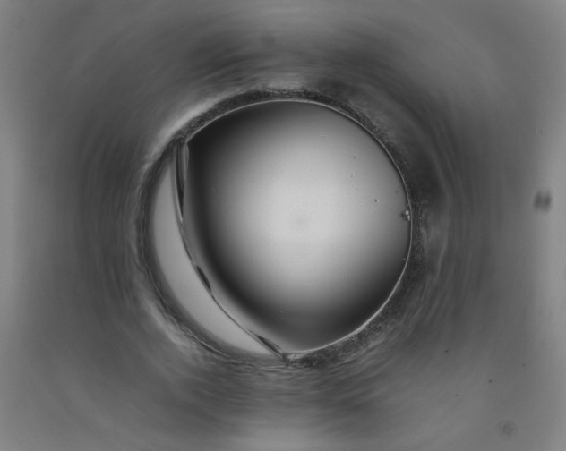 X0000092210728200709281022