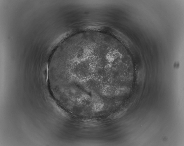 X0000092210729200709281022