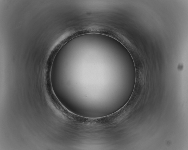 X0000092210730200709281022