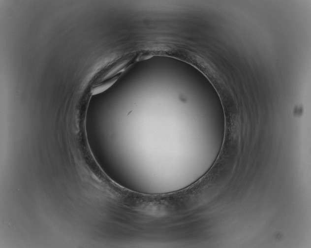 X0000092210731200709281022