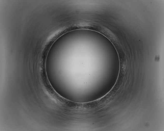 X0000092210732200709281022