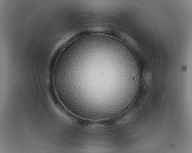 X0000092210734200709281022