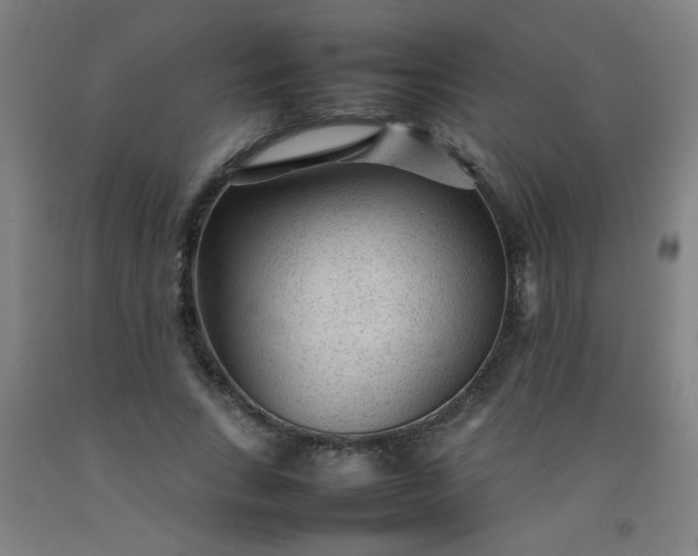 X0000092210735200709281022