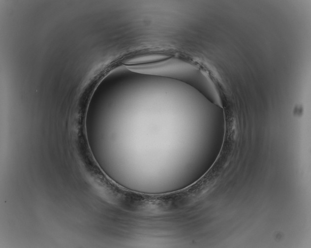 X0000092210736200709281022