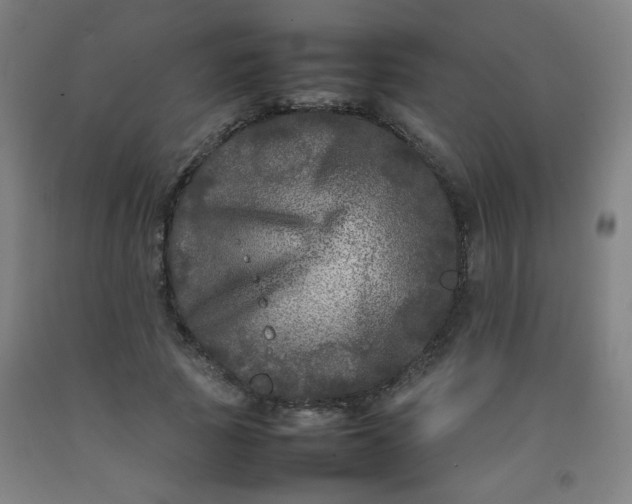 X0000092210737200709281022