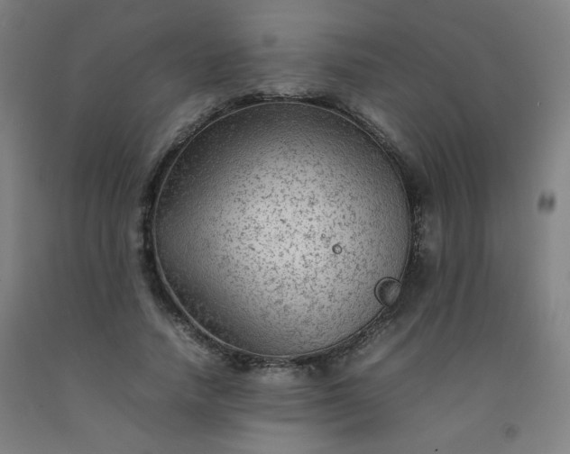 X0000092210738200709281022