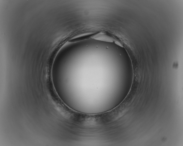 X0000092210740200709281022