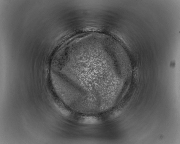 X0000092210741200709281022