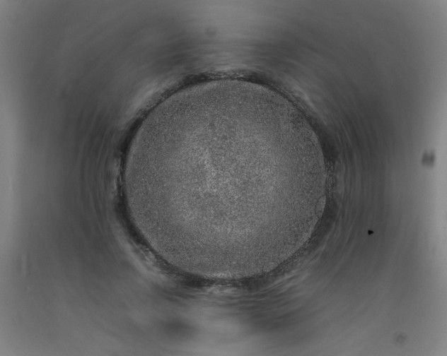 X0000092210742200709281022