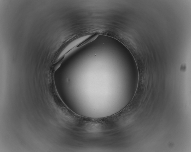 X0000092210743200709281022