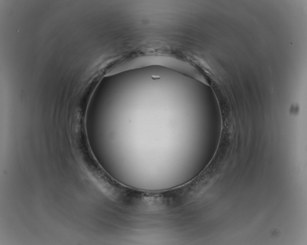 X0000092210744200709281023