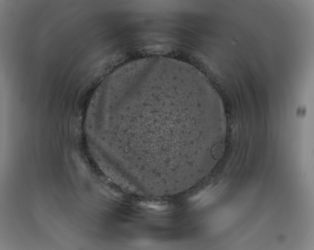 X0000092210745200709281023