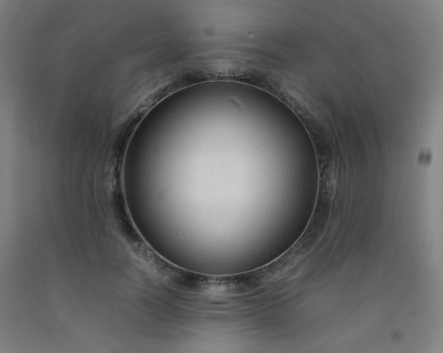 X0000092210746200709281023