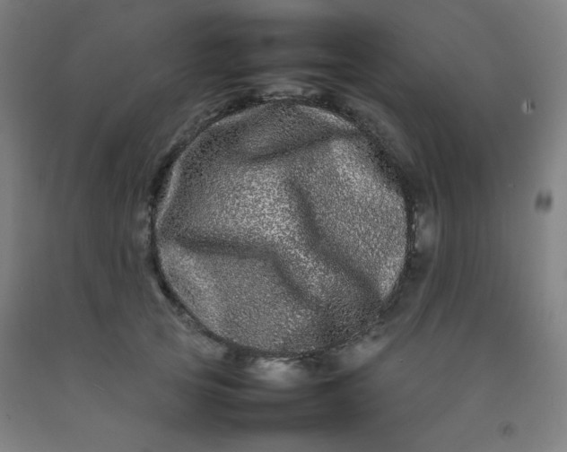 X0000092210753200709281023