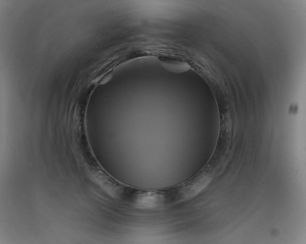 X0000092210754200709281023