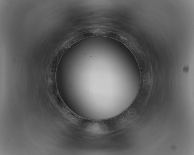 X0000092210755200709281023