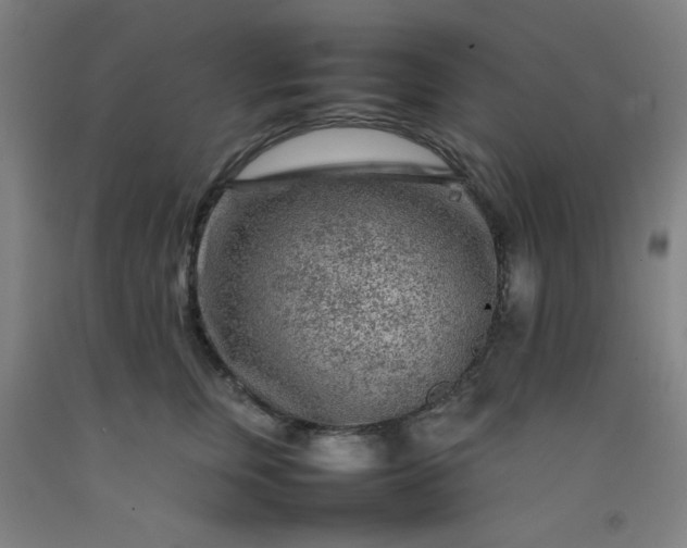 X0000092210759200709281023