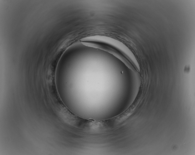 X0000092210762200709281023