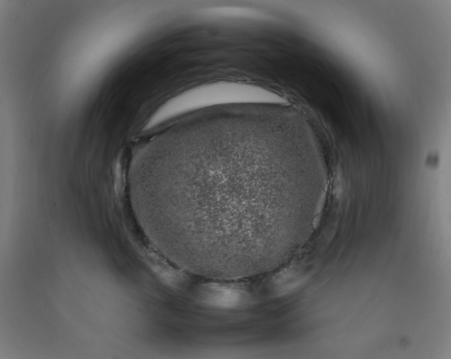 X0000092210763200709281023