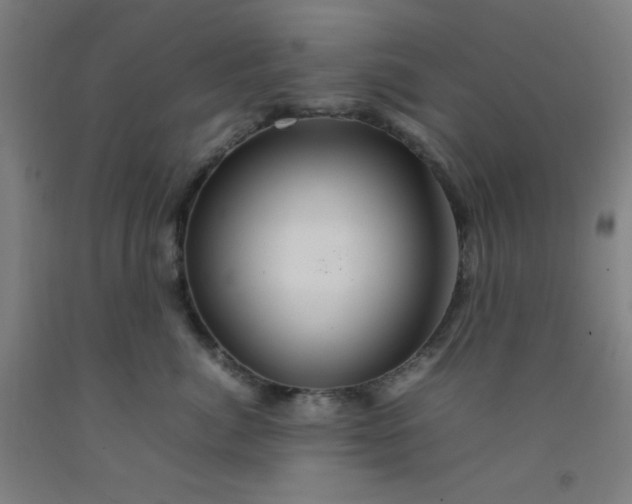 X0000092210764200709281023