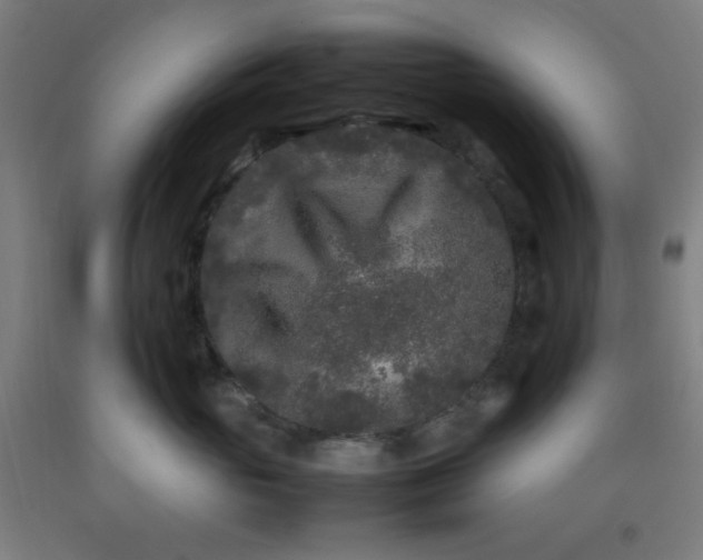 X0000092210765200709281023