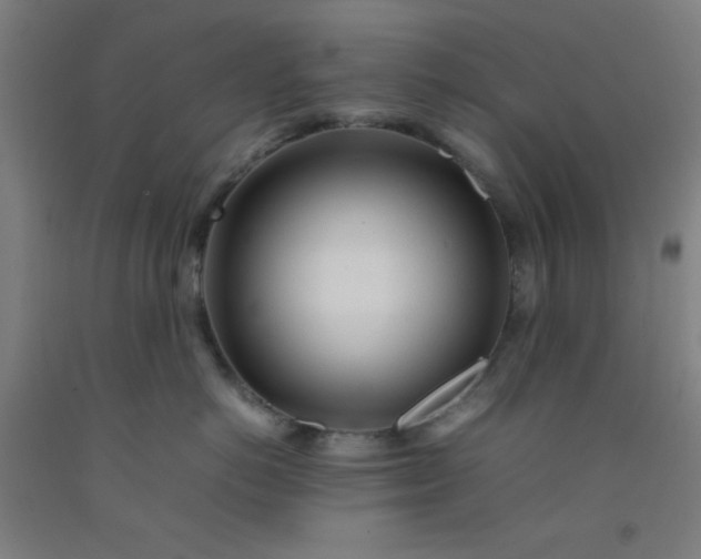 X0000092210766200709281023