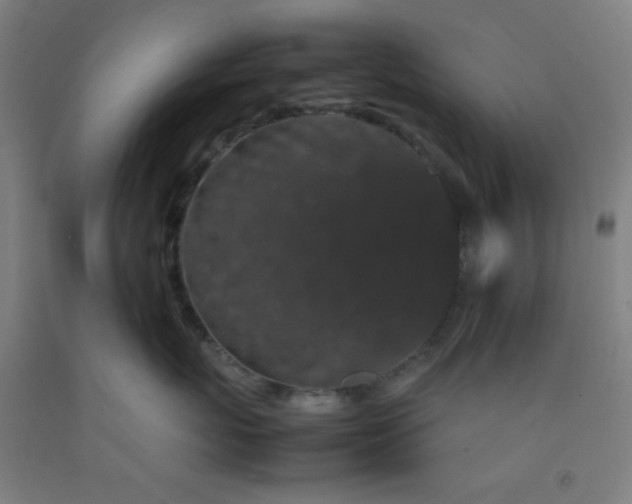 X0000092210767200709281023