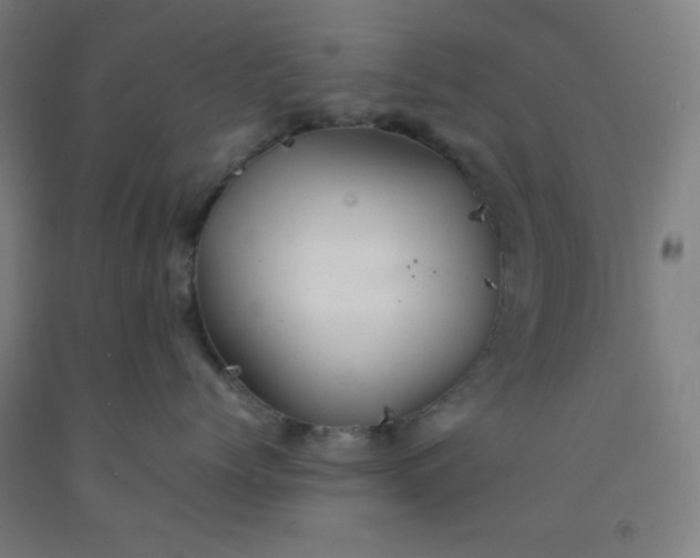 X0000092210768200709281023