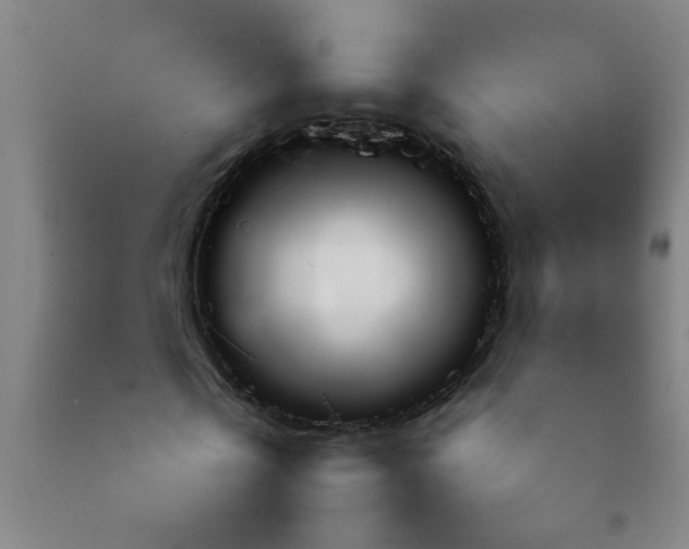 X0000092210769200709281022