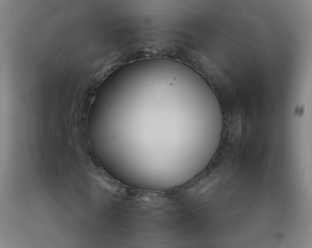 X0000092210770200709281022