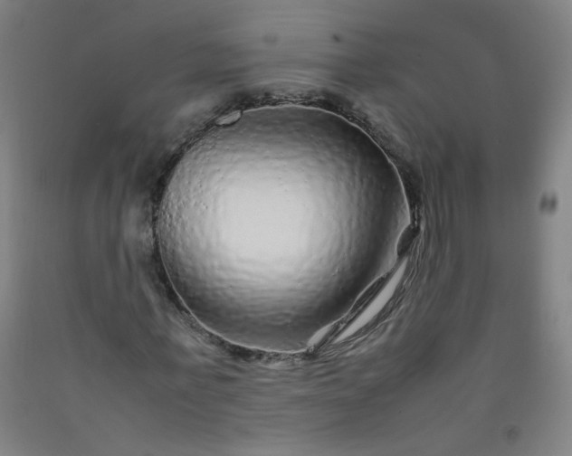 X0000092210771200709281022