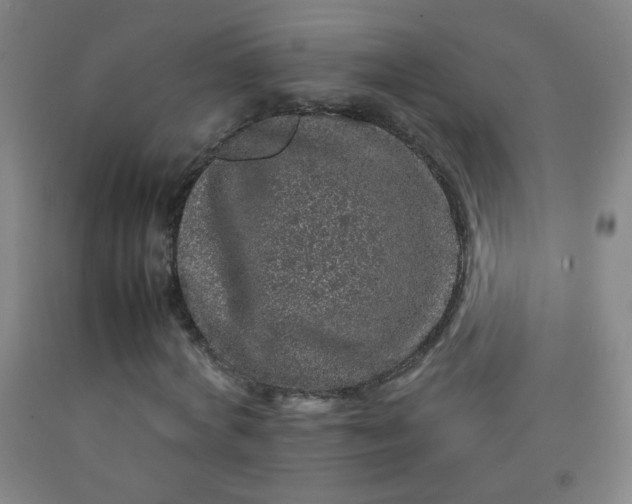 X0000092210772200709281022