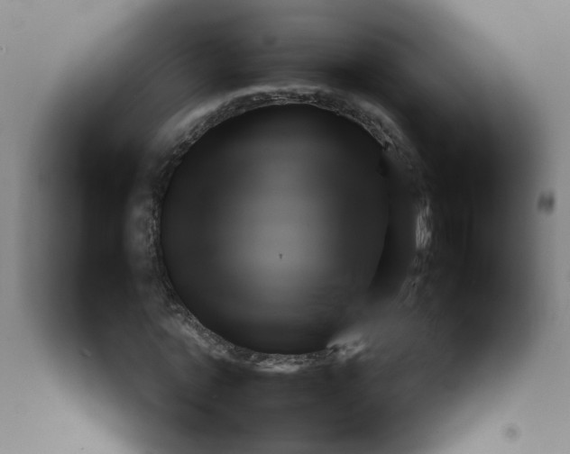 X0000092210773200709281022