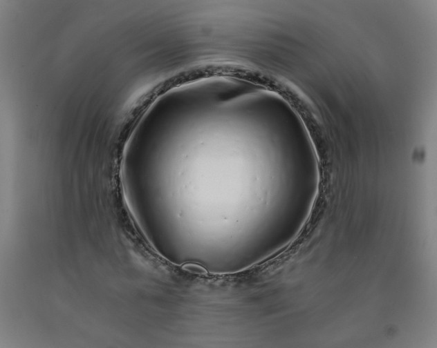 X0000092210775200709281022