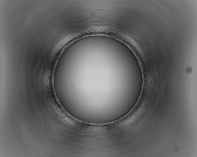 X0000092210778200709281022