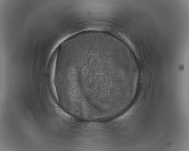 X0000092210779200709281022